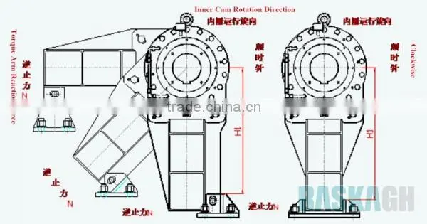 Reverse Torque Loading Conditions Backstop Clutch (Cam Clutch)