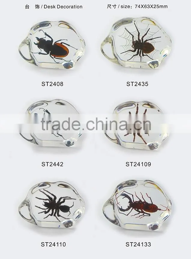 2016 new style promotional gift desk decoration with real insect
