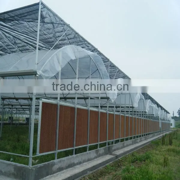 Zigzag Film Greenhouse Sale
