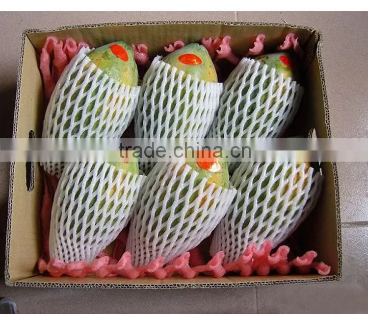 Disposable Plastic Fruit Strawberry Packaging Tray