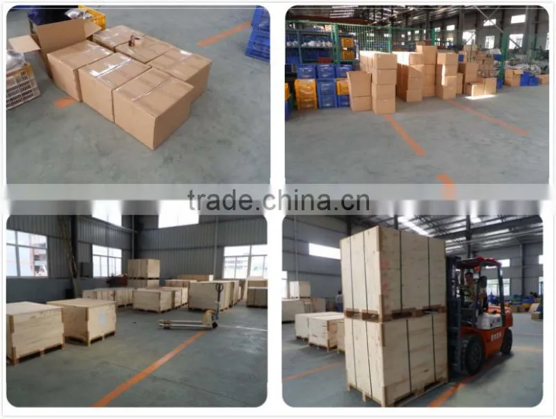 3A Sanitary stainless steel filter 6"