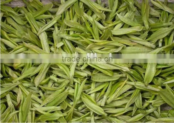 health slim fast tea
