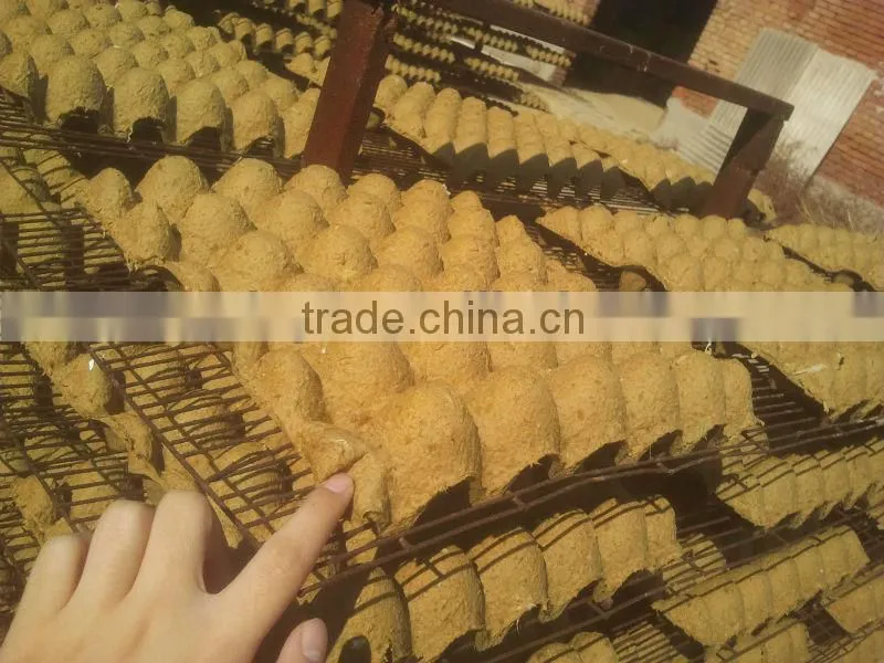 egg tray/egg tray machine for sale