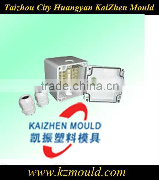 Precision plastic wall plug switch mould