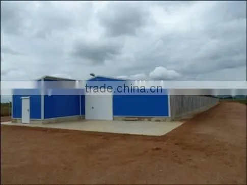 lage-scale chicken poultry farm overall design and building