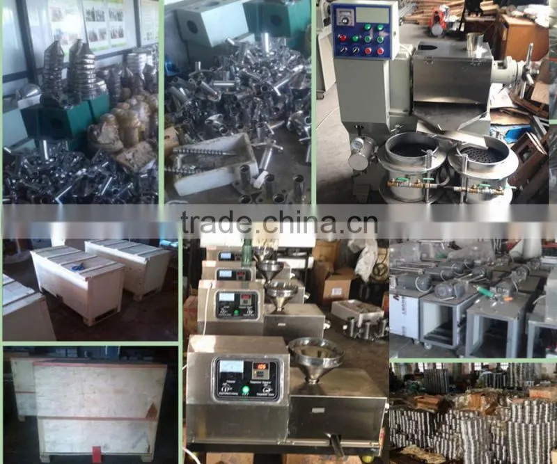 Most competitive price stainless steel seed oil extraction machine