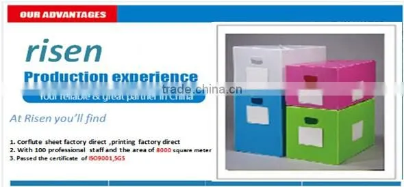 Best price for corflute plastic sheet/corrugated turnover plastic box