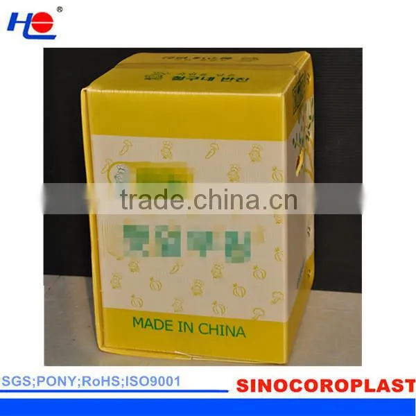 non-toxic and dust proof plastic polypropylene pollution-free box