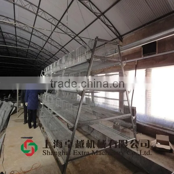 A-type cage for broiler and layer