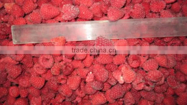Golden Supplier of Top Quality IQF Frozen Raspberry