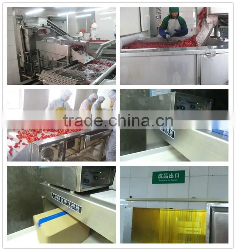 IQF Frozen apricot dices best price good quality