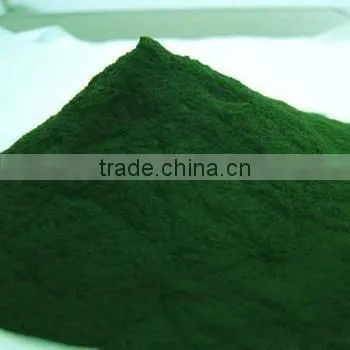 Best Quality And Lowest Price Spirulina Powder for Artemia with protein 60%