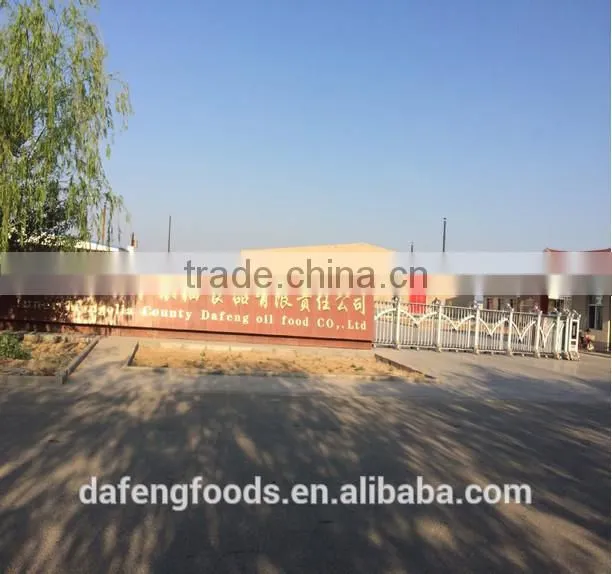 wholesale pumpkin seeds kernel for baking line