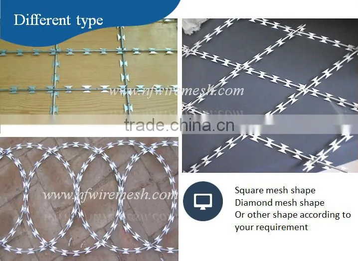 450mmm /500mm /700mm /1000mm hot galvanized coil concertina razor barbed wire(Guangzhou Factory)