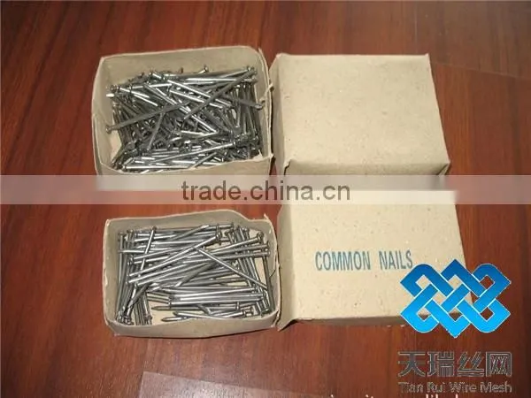 common wire nail/polished common nail/bright common nail