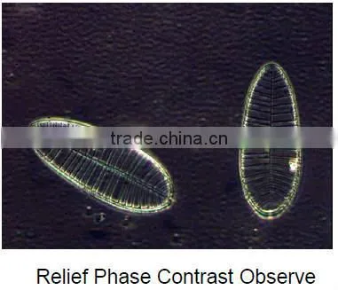 cheap electron microscope binocular / trinocular