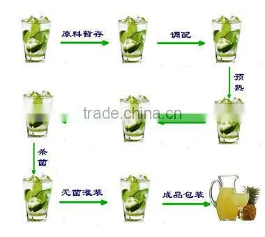 Juice Filling Production Line / Fruit Puree Machines