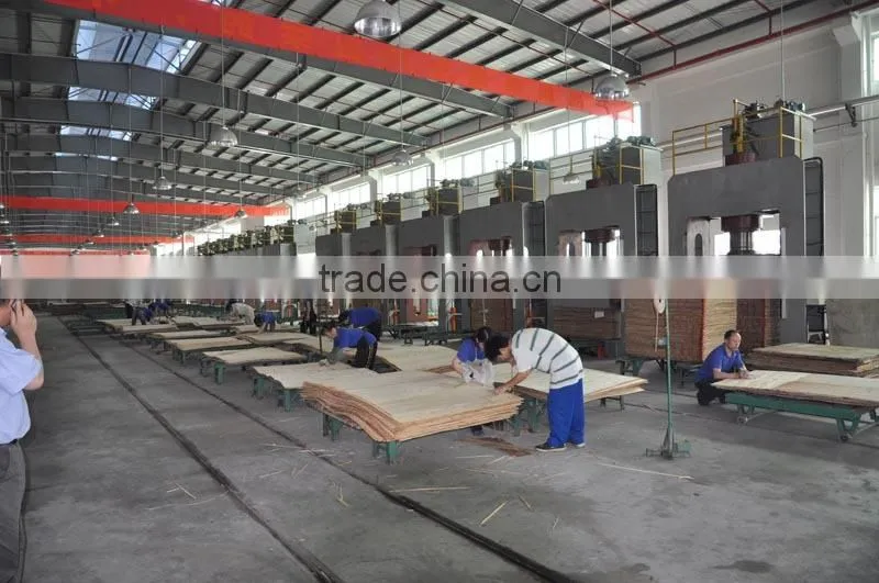 Standard/High quality Plywood production line