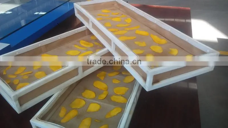 Tropical Food Machinery Mango Processing