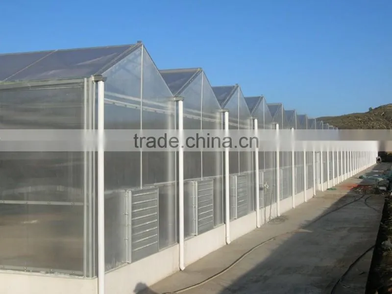 Commercial PC Sheet Greenhouse For Sale/Used For Vegetable&Fruit