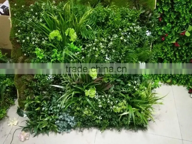 Decorative grass plants wall