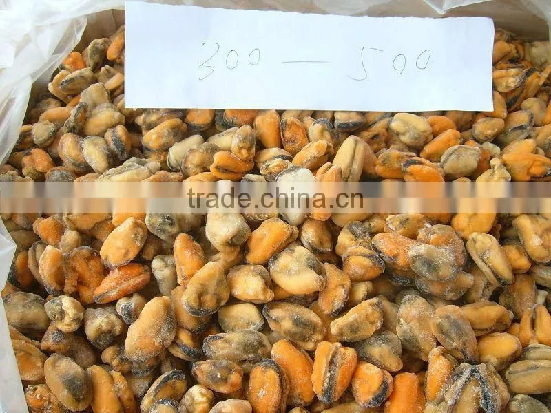 Frozen Boiled Vacuum Packaging Mussel Meat