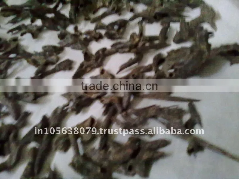 combodi / verma imported agarwood oil
