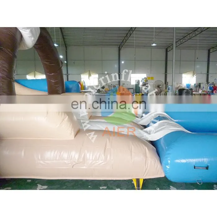 Funny inflatable pirate water slide for kids&adult,giant inflatable water slide,