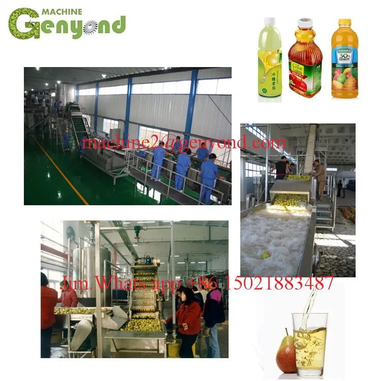Beverage Fresh Fruit Juice Processing Plant Line Production Line
