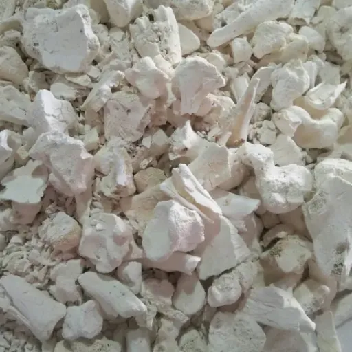Bone Ash (4)