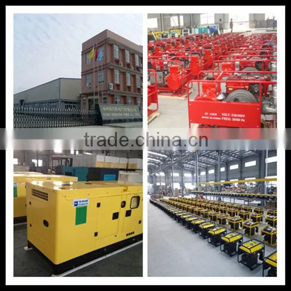 Brand new Chinese engine Diesel Genset