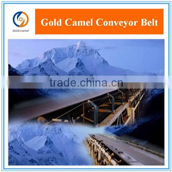 Patterned conveyor belt