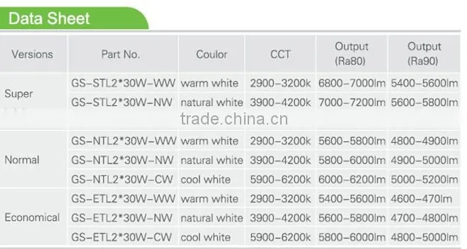 high brightness 130lm/w 2*30W LED COB Tracklight