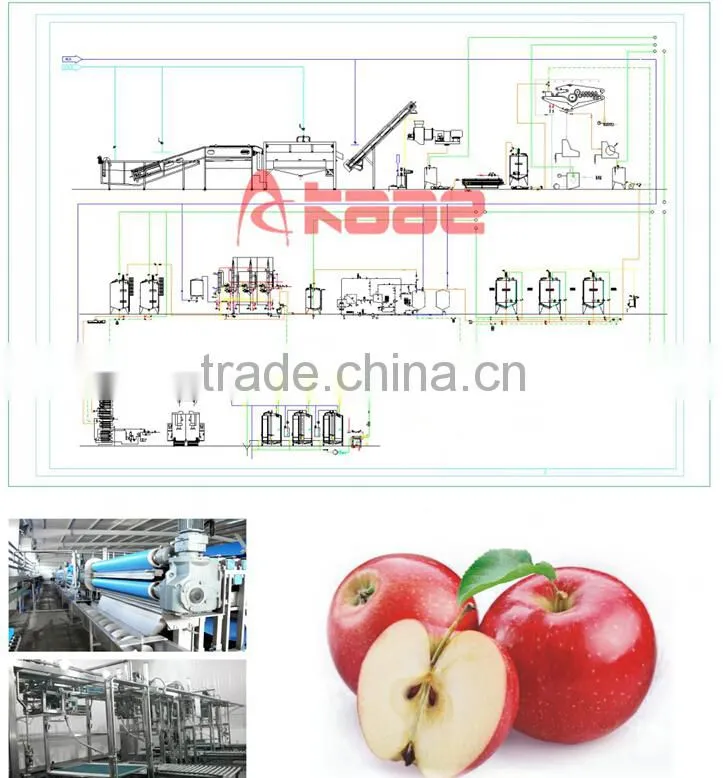 Good quality Automatic NFC apple juice processing line manufactured in Wuxi Kaae