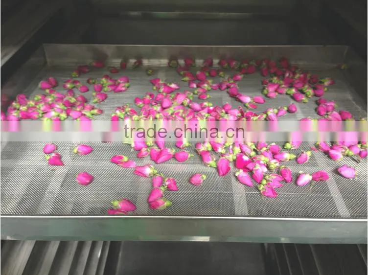 Full stainless stell drying machine for fruits and vegetables