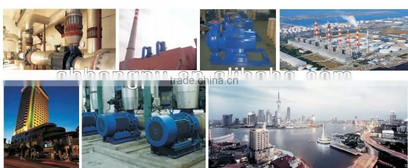 Small Submersible Pump
