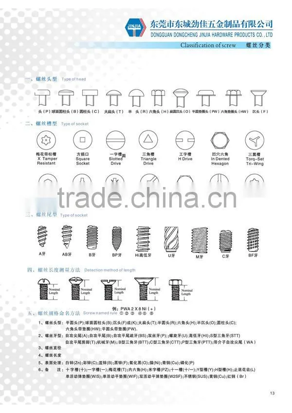 Square head customize stainless steel screw no.8x1/2''