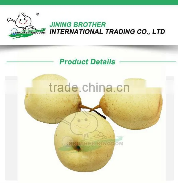Sell Pear/Ya pear/Fresh ya pear