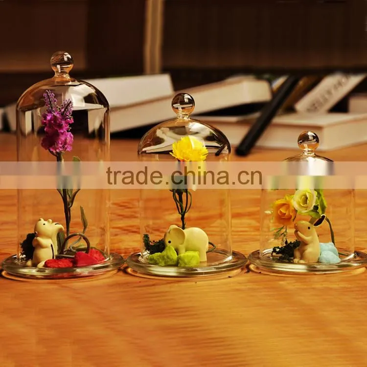 High clean glass decor dome cover for home/office