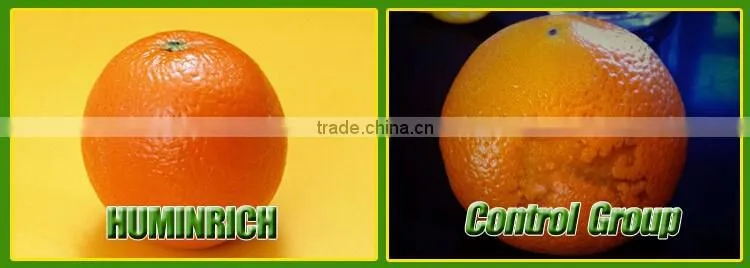FAQ 26--How To Improve The Value Of Oranges?