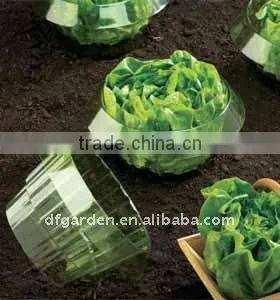 green Plastic Snail guards
