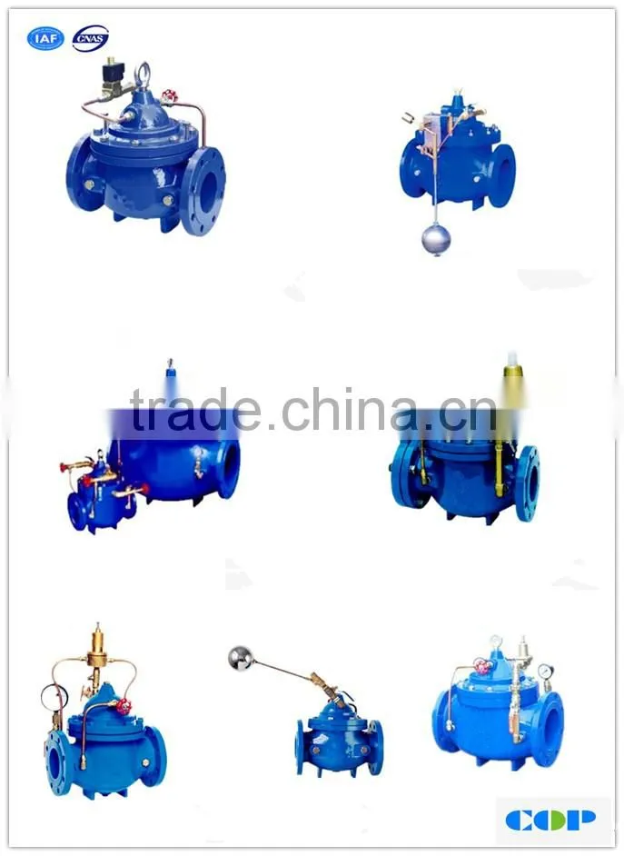 distance control electric operated valve WCB