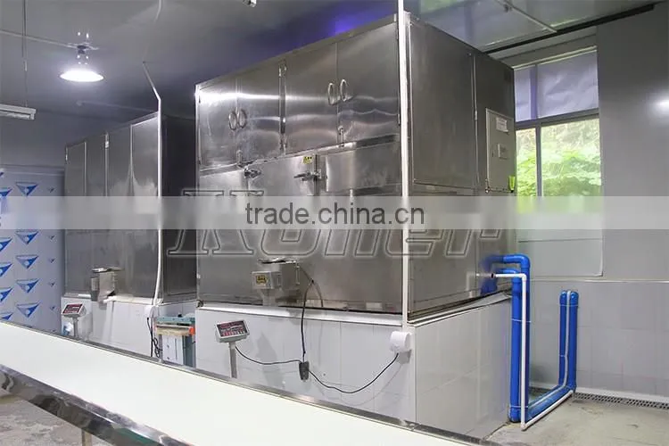 3 Tons Cube Ice Making Machine with Packing System