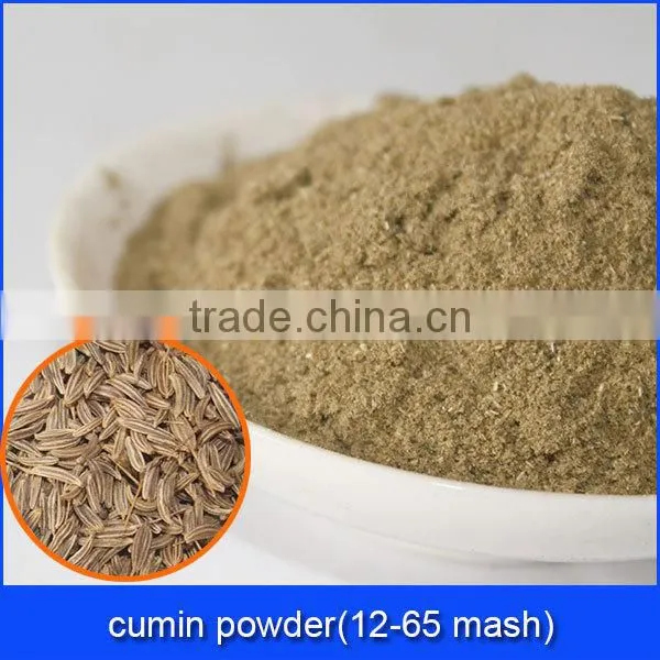 spice condiment supplier from China