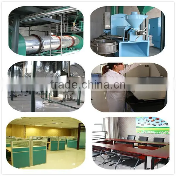Conjugated Linoleic Acid/Safflower seed extract Shandong factory