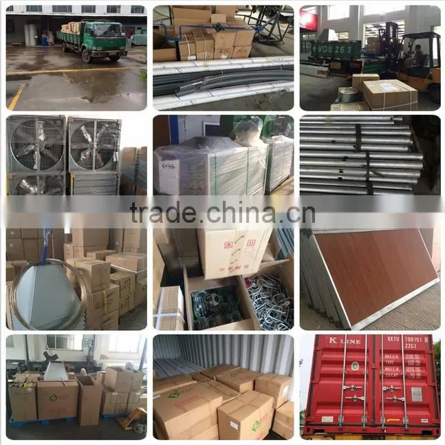 automatic rearing breeders chicken farm equipment
