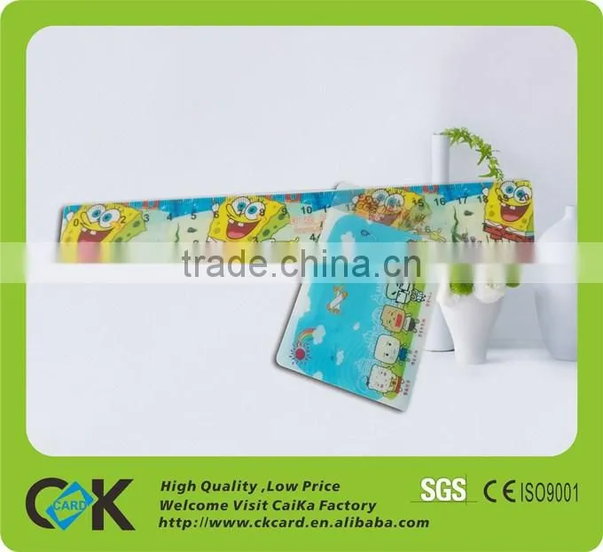 clear plastic pvc ruler card offset ruler