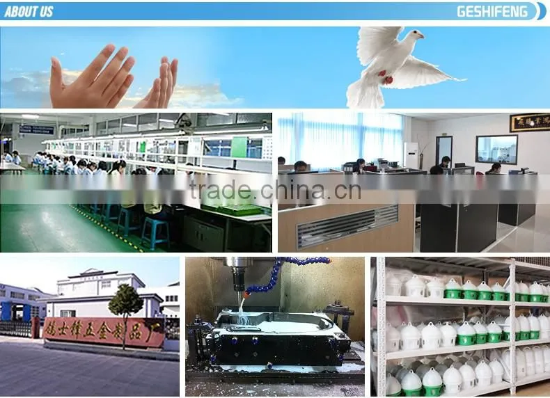 best quality 60cm pigeon club cage made in china