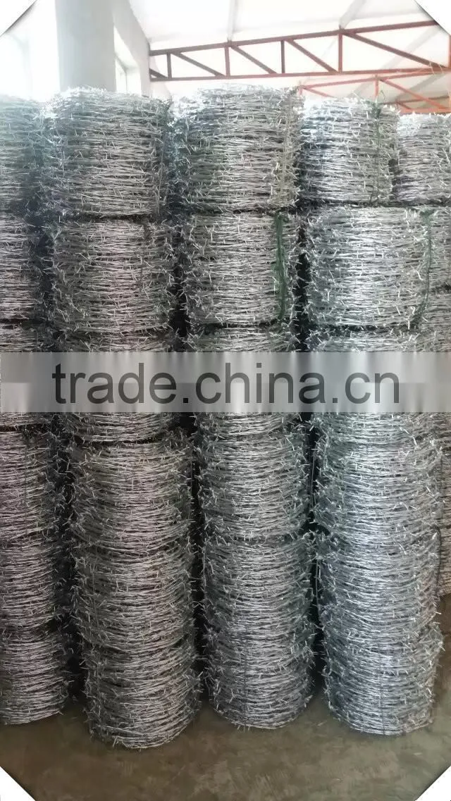 high quality antique barbed wire for sale / 12#*14# galvanized barbed wire