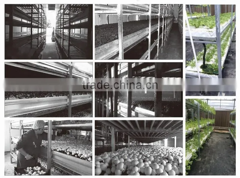 Aluminum ventilation system in greenhouse